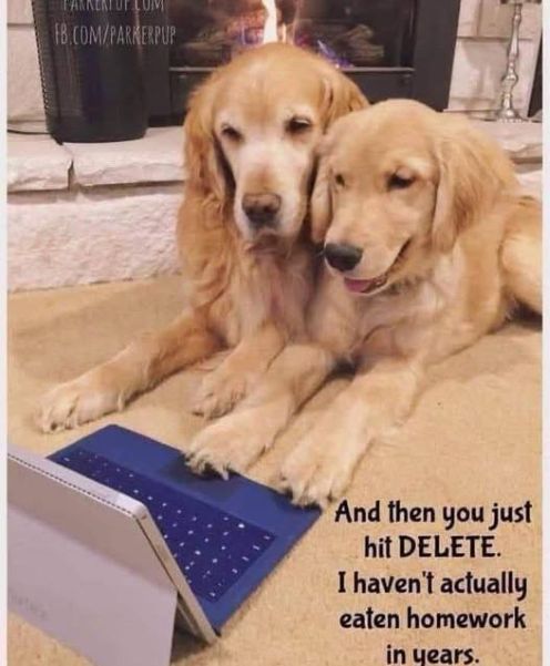 dogs hit delete.jpg